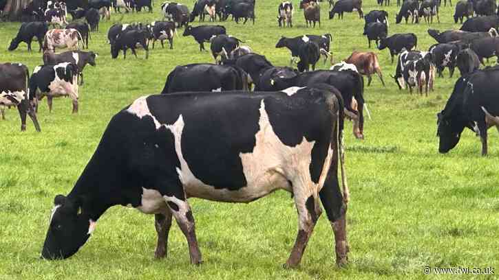 Why two systems are running separate heifer milking groups