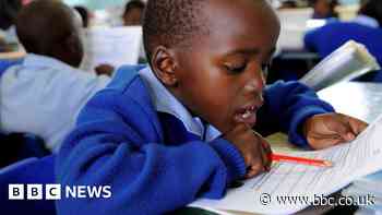 Bela bill: South Africans face jail if children not in school