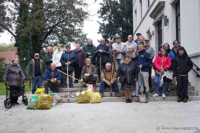 Cultuurraad plant 3.500 bloembollen aan landhuis de Viron