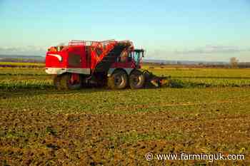 NFU Sugar asks Defra for &#39;immediate interventions&#39; amid sugar price &#39;crisis&#39;