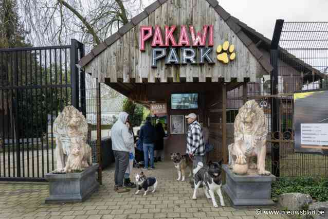 Regen in herfstvakantie zorgt voor volle meubelzaken en binnenspeeltuinen, Pakawi Park trekt 75 procent minder bezoekers