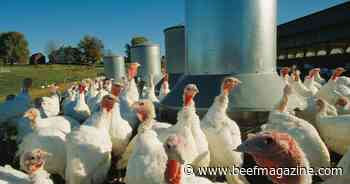 Farm Progress America, November 6, 2023