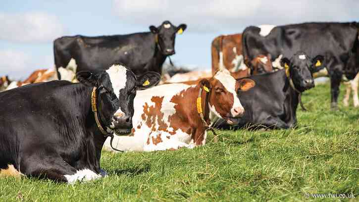 How a greenfield dairy targets ‘resilient’ 50% yield lift