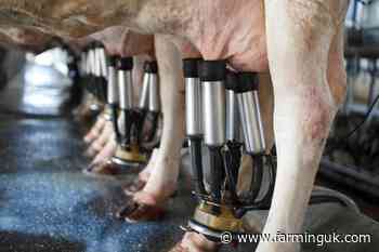 Wet October sees decline in GB milk production