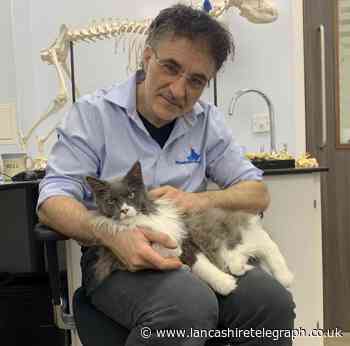 TV Supervet Noel Fitzpatrick on mission to spread the love
