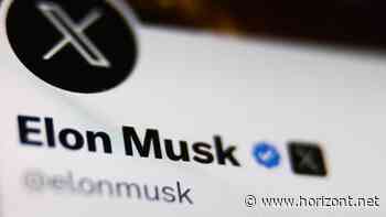 Bitkom: Immer weniger nutzen X seit Musk-Übernahme