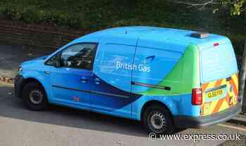 British Gas scheme to hand out £250 free credit to help pay energy bills extended