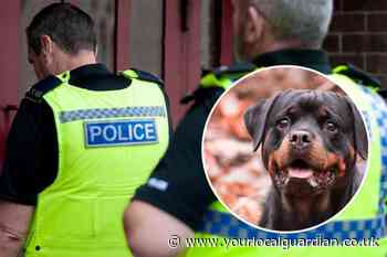 South London man who kicked rottweiler in head has dog taken