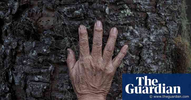 ‘It is all about listening and sharing’: Indigenous solutions to the carbon divide
