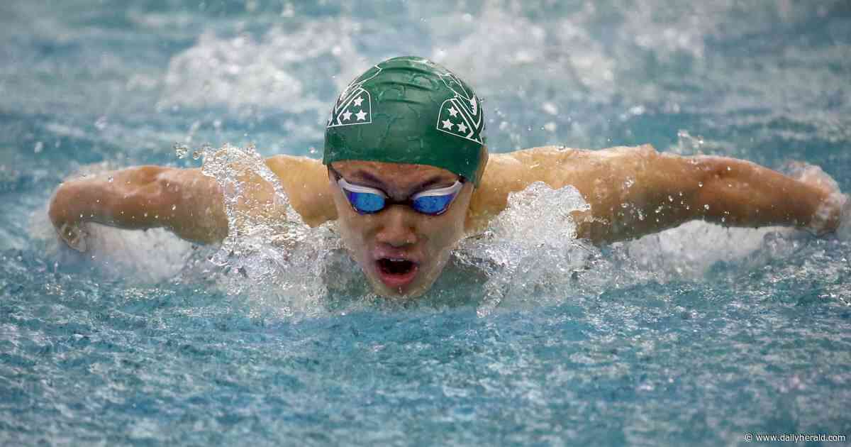 Boys swimming: St. Charles North shines on 'chaotic' day at Stevenson