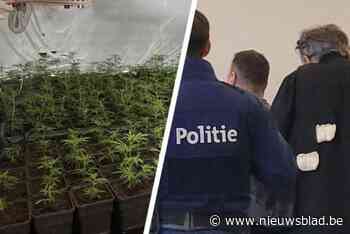 Deurwaarder ontdekt per toeval cannabisplantage bij kweker die “tegen drugs” is: “Ik heb nog nooit gebruikt”