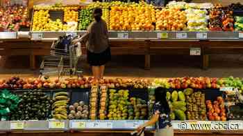 Canada's grocery sector among the most competitive on Earth, claims Sobeys CEO