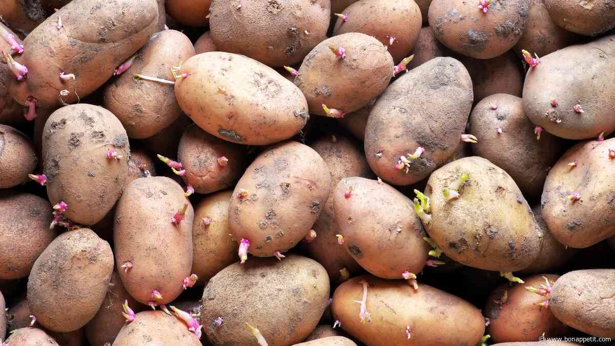 Are Sprouted Potatoes Safe to Eat?