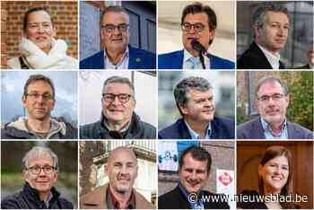 Burgemeesters in Mechelse regio gaan allemaal voor nieuwe ambtstermijn: “Het werk van voorbije jaren ook komende zes jaar voortzetten”