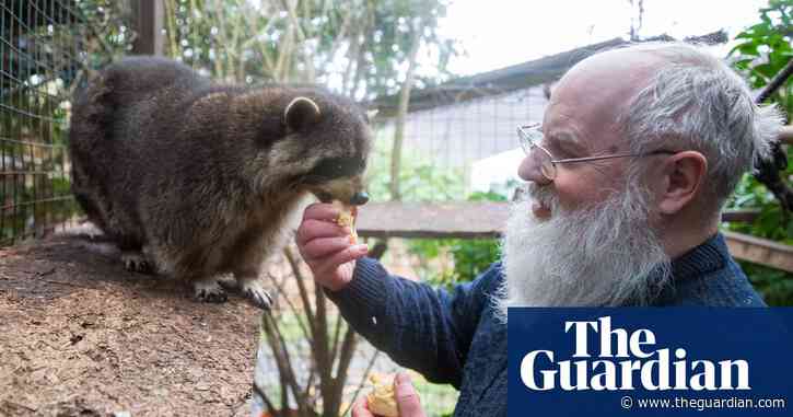 ‘There’s still a stigma’: UK raccoon rescuer on mental health, animal wit – and not startling skunks