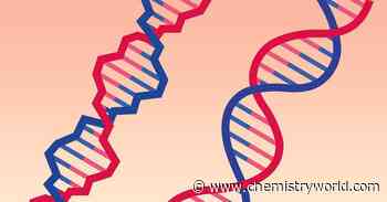 More than a mirror-image: left-handed nucleic acids