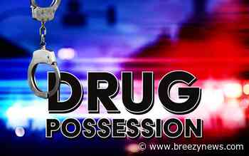 Shoplifting, Assault, and More Drug Charges in Leake and Attala