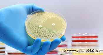 Neues Antibiotikum Cresomycin wirkt auch gegen multiresistente Bakterien