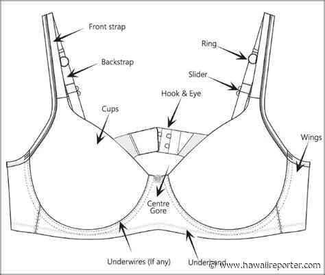 The Biomechanics of Bras and Lymphatics and the Link to Breast Cancer