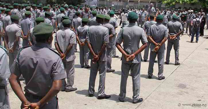 Nigeria Customs Service vows to tackle illegal exportation of grains