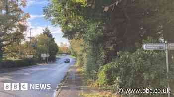 Council considers removing hedgerow on busy route