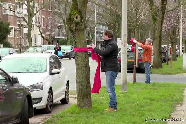 Meer dan 100 bomen dreigen gekapt te worden voor nieuwe riolering in Ter Rivierenlaan in Deurne