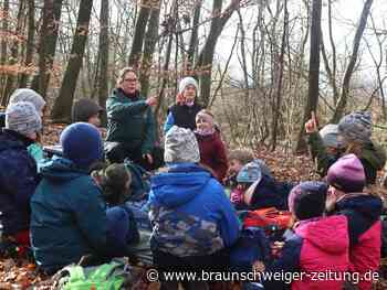 Wolfenbüttels Nabu-Kinder meistern Herausforderung im Wald