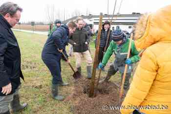 Provinciedomein Wallemote-Wolvenhof straks 10.000 bomen rijker: “Schoolvoorbeeld van hoe het moet”