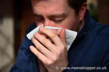 How to reduce hay fever symptoms? GP offers their advice