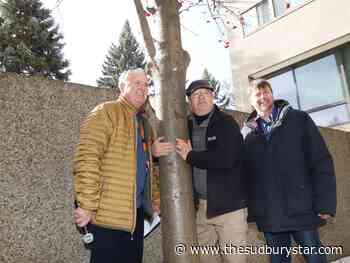 St. Andrew’s Place says goodbye to a cherished tree