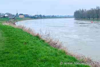 Maas speelt hoger lager: wandelweg rond Meynecomplas Aldeneik blijft onder water