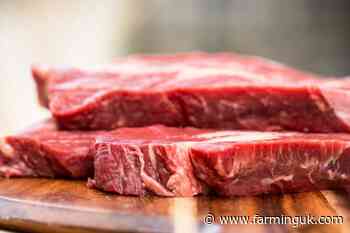 Global beef demand to remain steady in 2024 despite challenges