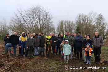 Vrijwilligers planten eerste 800 boompjes van het nieuwe Bremtbos: “Goed voor twee hectare inheems groen”
