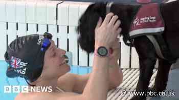 Hearing dog 'transforms' para swimmer's life