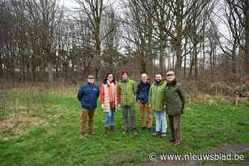 Bosgroep Houtland helpt Nieuwenhovebos en Zorgvliet beheren: “Eigen gemeentepersoneel ontzorgen”