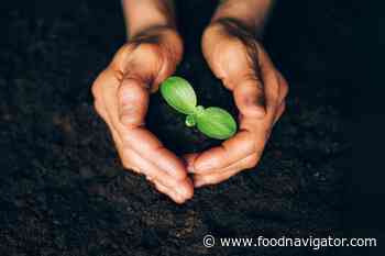 Potassium depletion in soil a major threat to food security