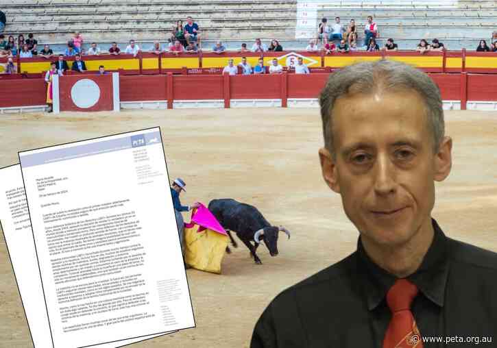 Peter Tatchell Urges Newly Out Matador to Turn Back on Bullfighting