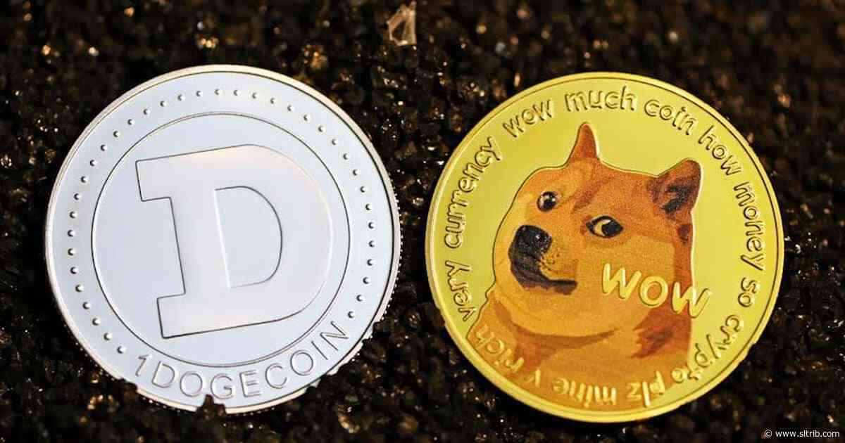 Why meme coin dominance is imminent