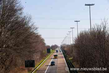 Meer ruimte voor windenergie, elektrische auto’s en warmtepompen: Elia versterkt snelweg van stroomnet door Limburg