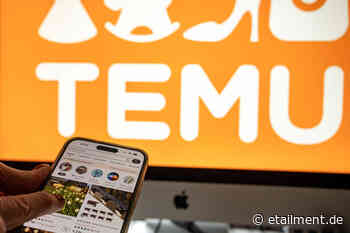 Etailment-Expertenrat: Was B2B-Händler von der Temu-Revolution lernen können