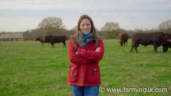 Campaign putting spotlight on beef produced in Britain returns