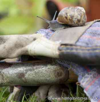 Make friends with a slug, Middlesex wildlife group urges