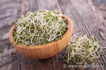 De gezondheidsvoordelen van alfalfa