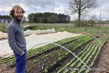 Boer Brent hanteert een duurzaam landbouwmodel op de Strackxhoeve: “Ik zit niet in de grond te wroeten”