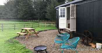 The Northumberland shepherd's hut in two acres of paddocks where you can stay with your horse