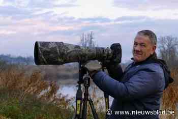 Patrick De Smedt en vijf collega’s exposeren unieke natuurfoto’s in De Koolputten: “Dagelijks 7 à 8 uur met camera op vinkenslag voor mooiste beeld”
