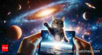 Taters the cat: Why Nasa beamed a cat video 19 million miles into deep space