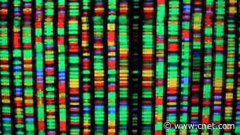 Best DNA Test for 2024     - CNET