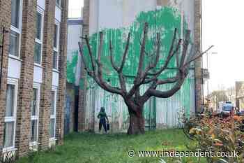 Residents welcome new Banksy tree mural: ‘We just feel so proud’