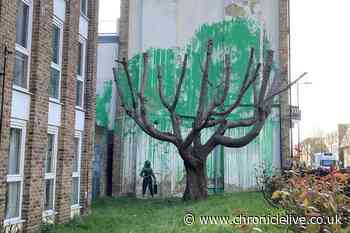 Banksy confirms he is behind new tree mural in north London